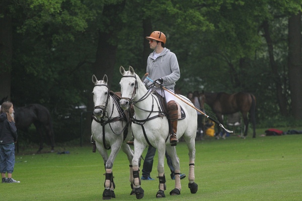 Polo_Art   058.jpg